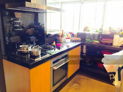 Cairnhill Plaza (D9), Apartment #125720332
